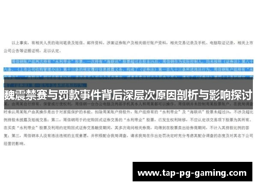 魏震禁赛与罚款事件背后深层次原因剖析与影响探讨