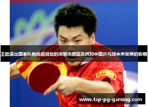 王皓退出国家队教练组背后的深层次原因及其对中国乒乓球未来发展的影响