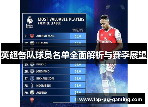 英超各队球员名单全面解析与赛季展望